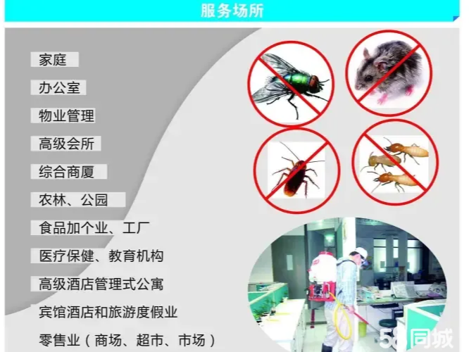 酒店灭鼠服务